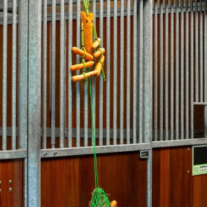 Jouet de box avec filet à foin - QHP