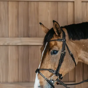 Bridon muserolle combinée tressée rond - Dy'on