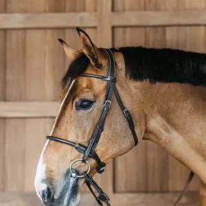 Bridon en cuir Rond - Dy'on