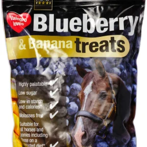 Friandises Appy Treats Myrtille et banane - NAF