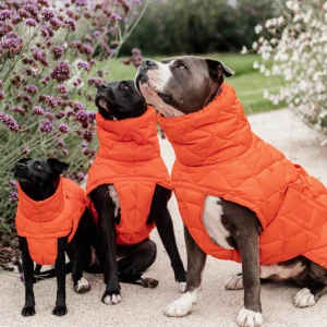 Manteau d'hiver pour chien Pina - Kentucky