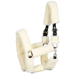 Licol Teddy - Harry's Horse