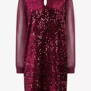 Robe Longueur Genoux Col Rond Montant Goutte Manches Longues Voiel Transparent Et Sequins