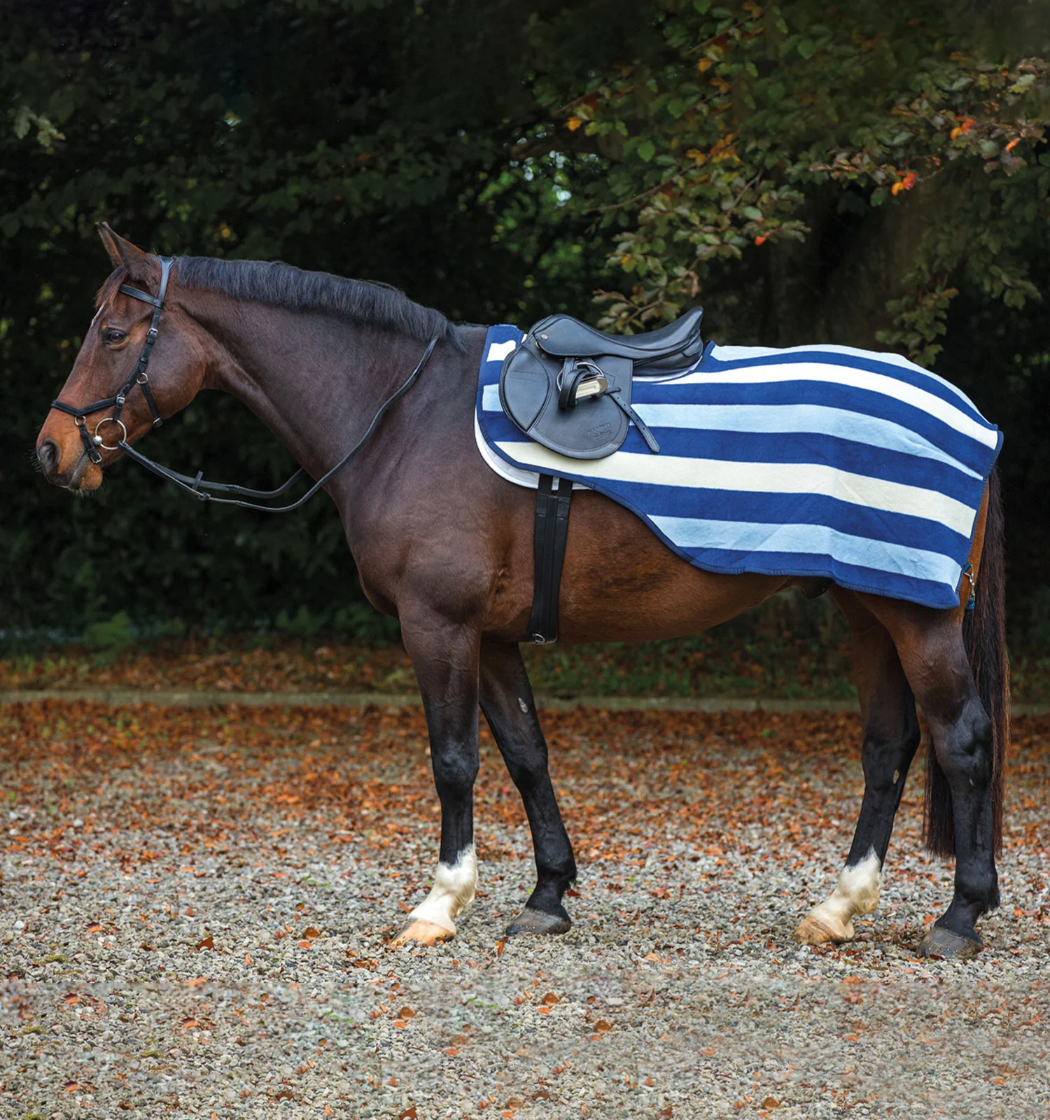 Couvre-rein Rambo Competition - HORSEWARE – Image 2