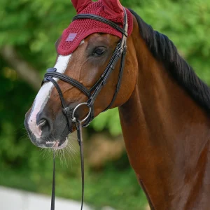 Bonnet anti-mouches Cabernet - Boss Equestrian