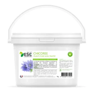 Chicoree Digestion - ESC LABORATOIRE