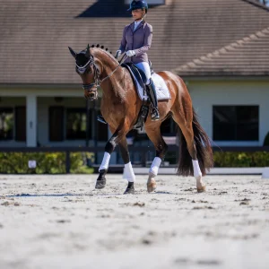 Tapis de selle Modern Blanc Dark Violet DRESSAGE - Equestrian Stockholm