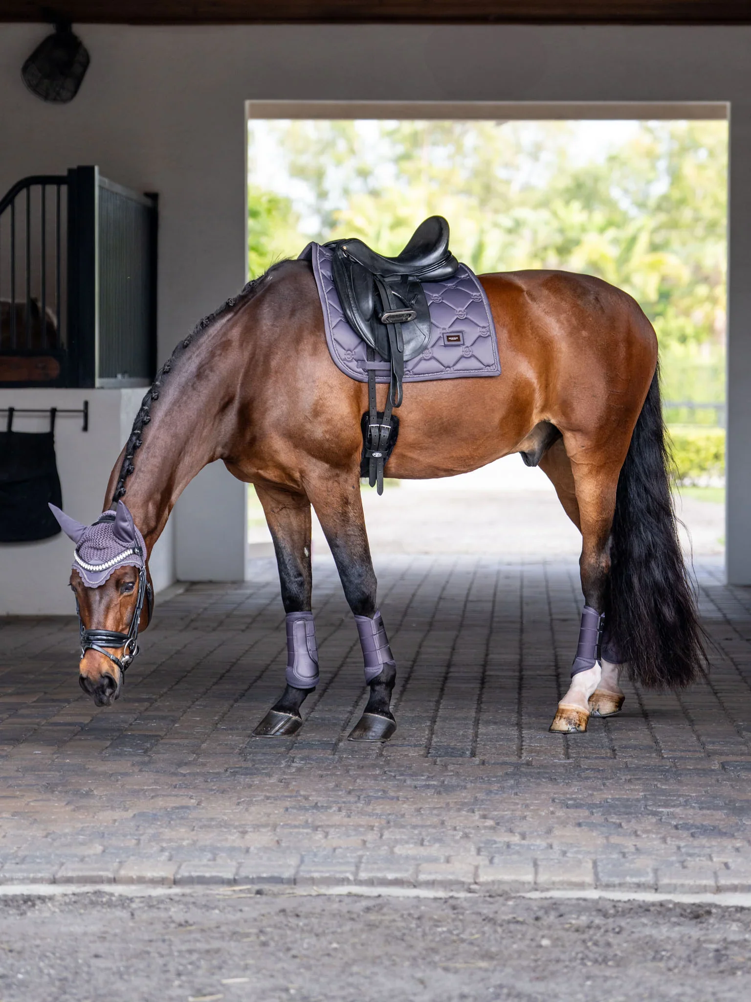 Tapis de selle Dark Violet DRESSAGE - Equestrian Stockholm
