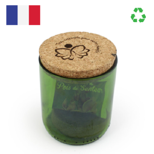 Kit de plantation en bouteille recyclée Made in France