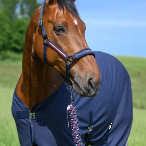 Set licol et longe Yale - Tommy Hilfiger