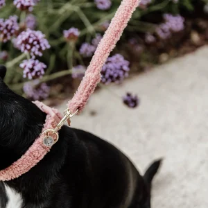 Laisse pour chien Teddy Fleece 120cm - Kentucky