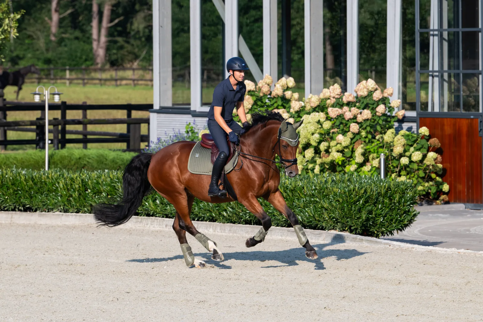 Bonnet anti-mouches Dynair Mesh Classic Sports 2025 - Eskadron – Image 2