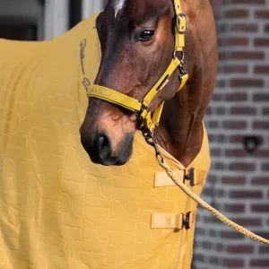 Licol Faux Leather Double Pin PLATINUM 2025 - Eskadron