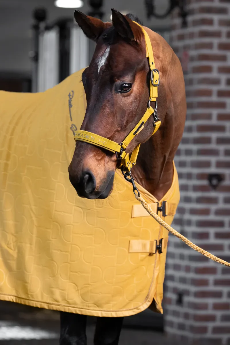 Licol Faux Leather Double Pin PLATINUM 2025 - Eskadron