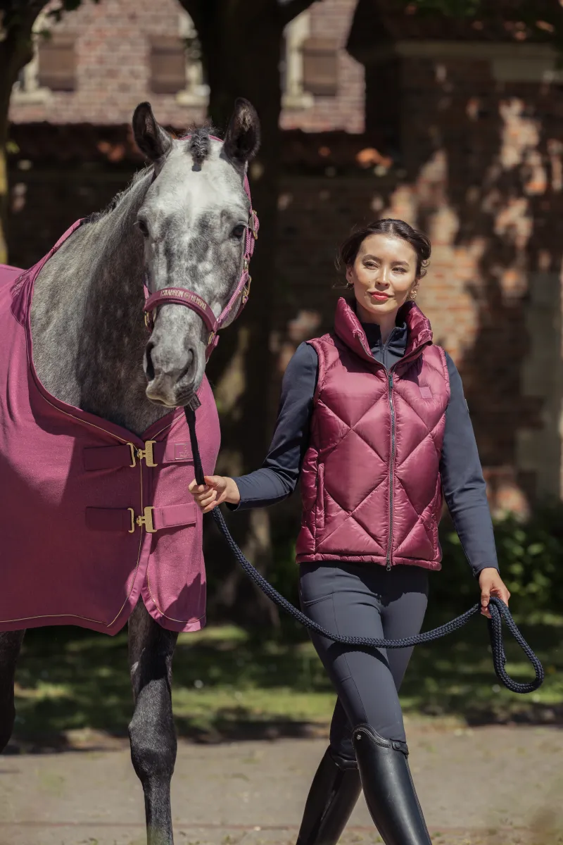 Veste sans manches QUILT WAISTCOAST Heritage 2025 - Eskadron – Image 4