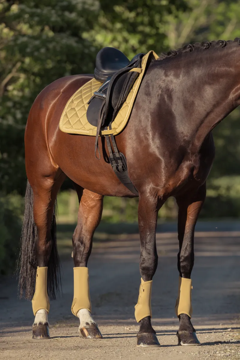 Tapis de selle GLOSSY Dressage Heritage 2025 - Eskadron – Image 6