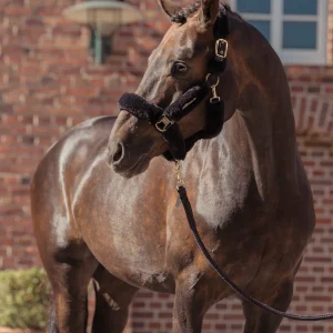 Licol complet Faux Fur Heritage 2025 - Eskadron