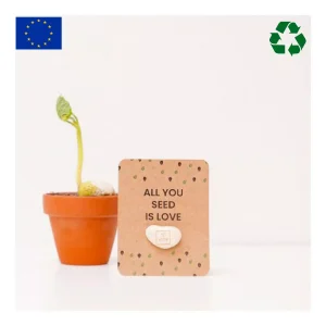 Graine haricot personnalisable à planter made in Europe